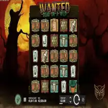 Wanted Dead or Wild play demo